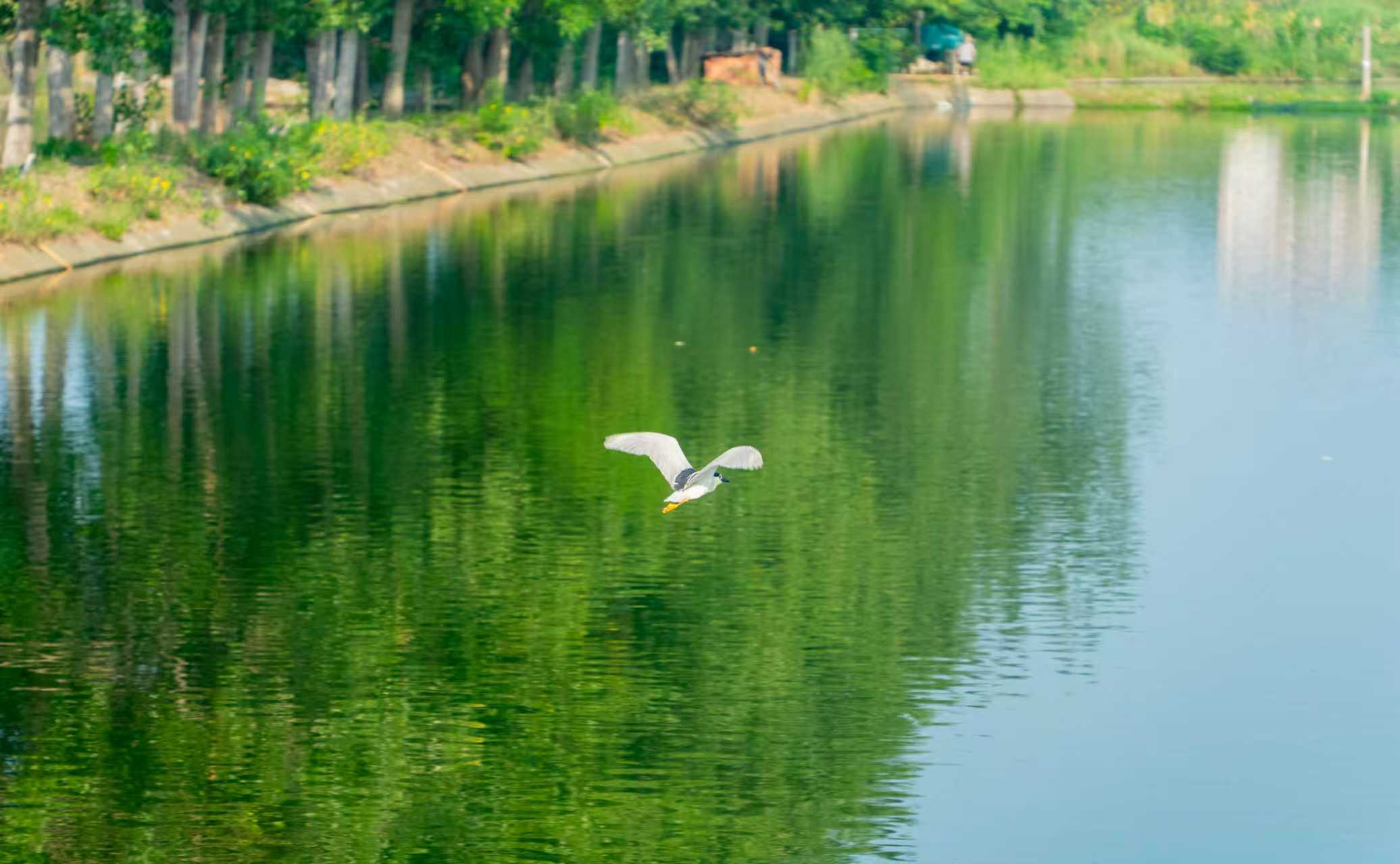 微信图片_20260608140739_1219_4.jpg