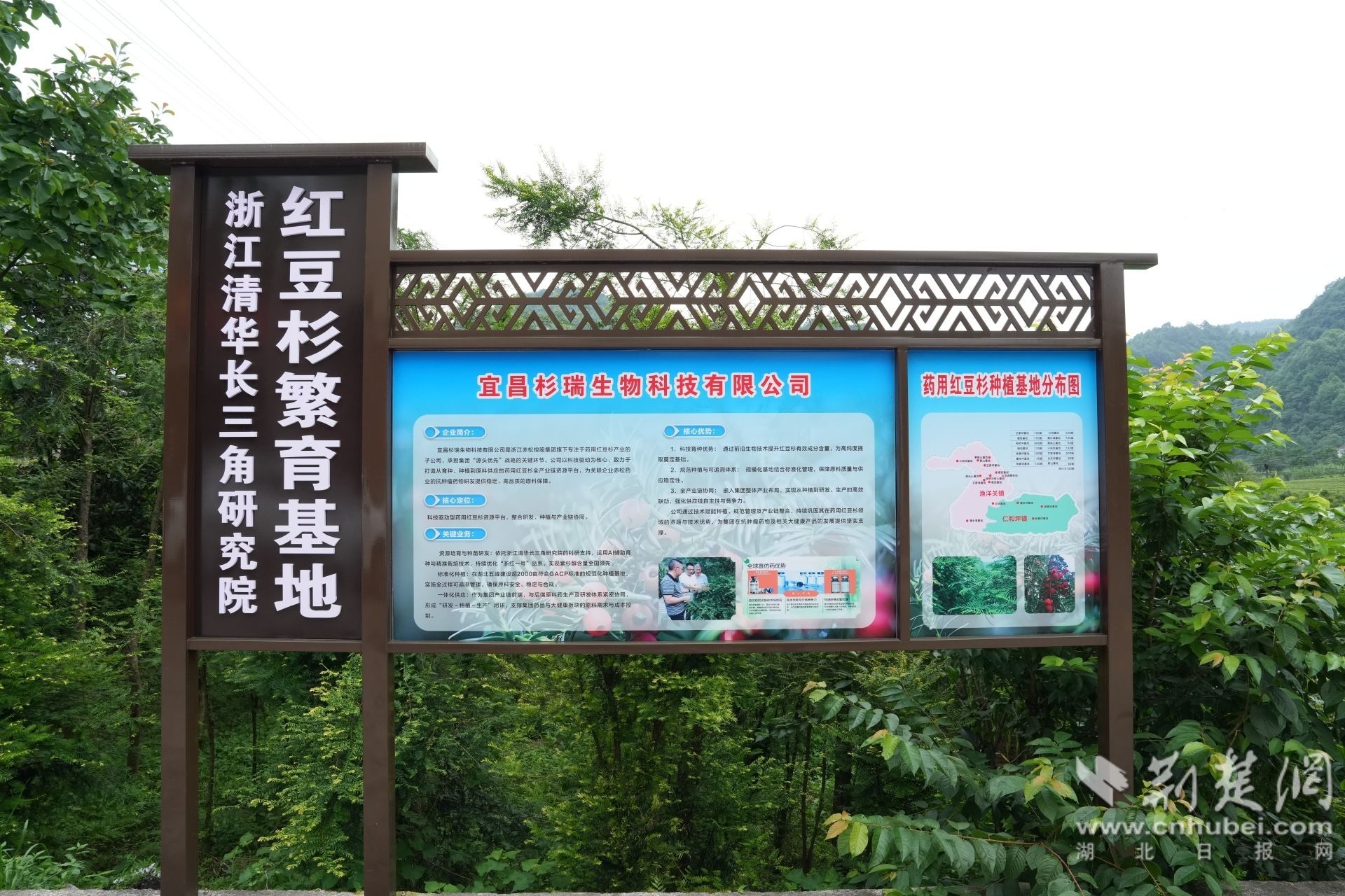 微信图片_20260630150140_659_115.jpg.jpg