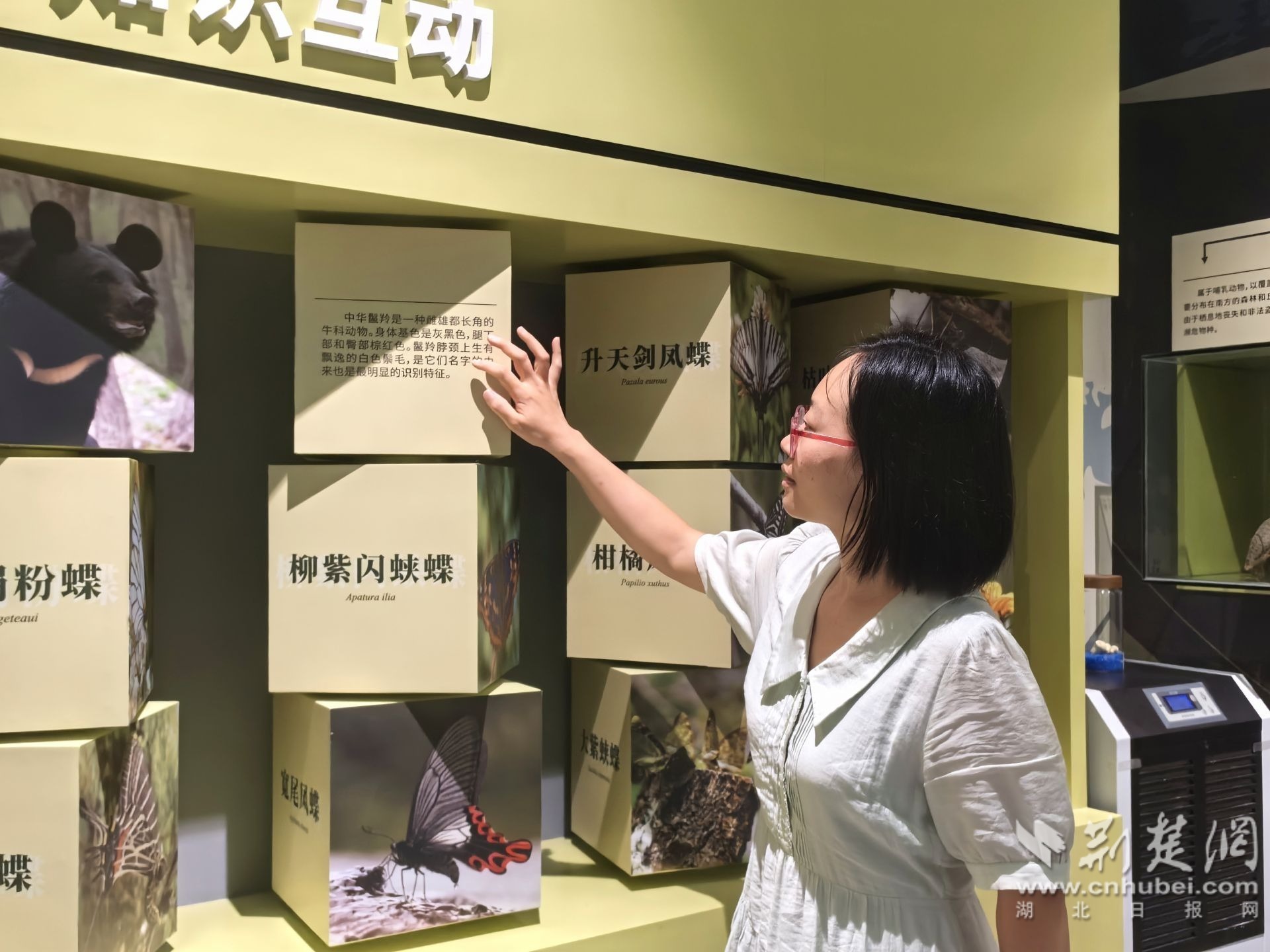 微信图片_2026-07-31_204635_997.jpg.jpg