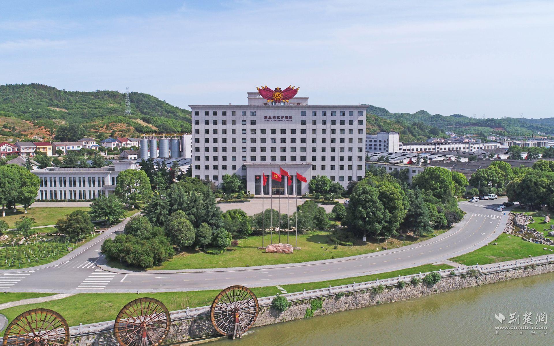微信图片_2026-07-09_185336_174.jpg.jpg