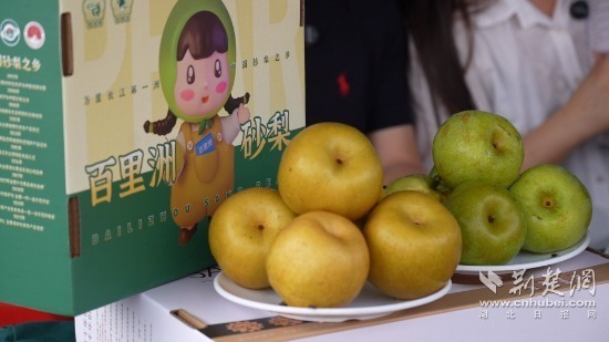 微信图片_2026-07-18_192300_568.jpg.jpg