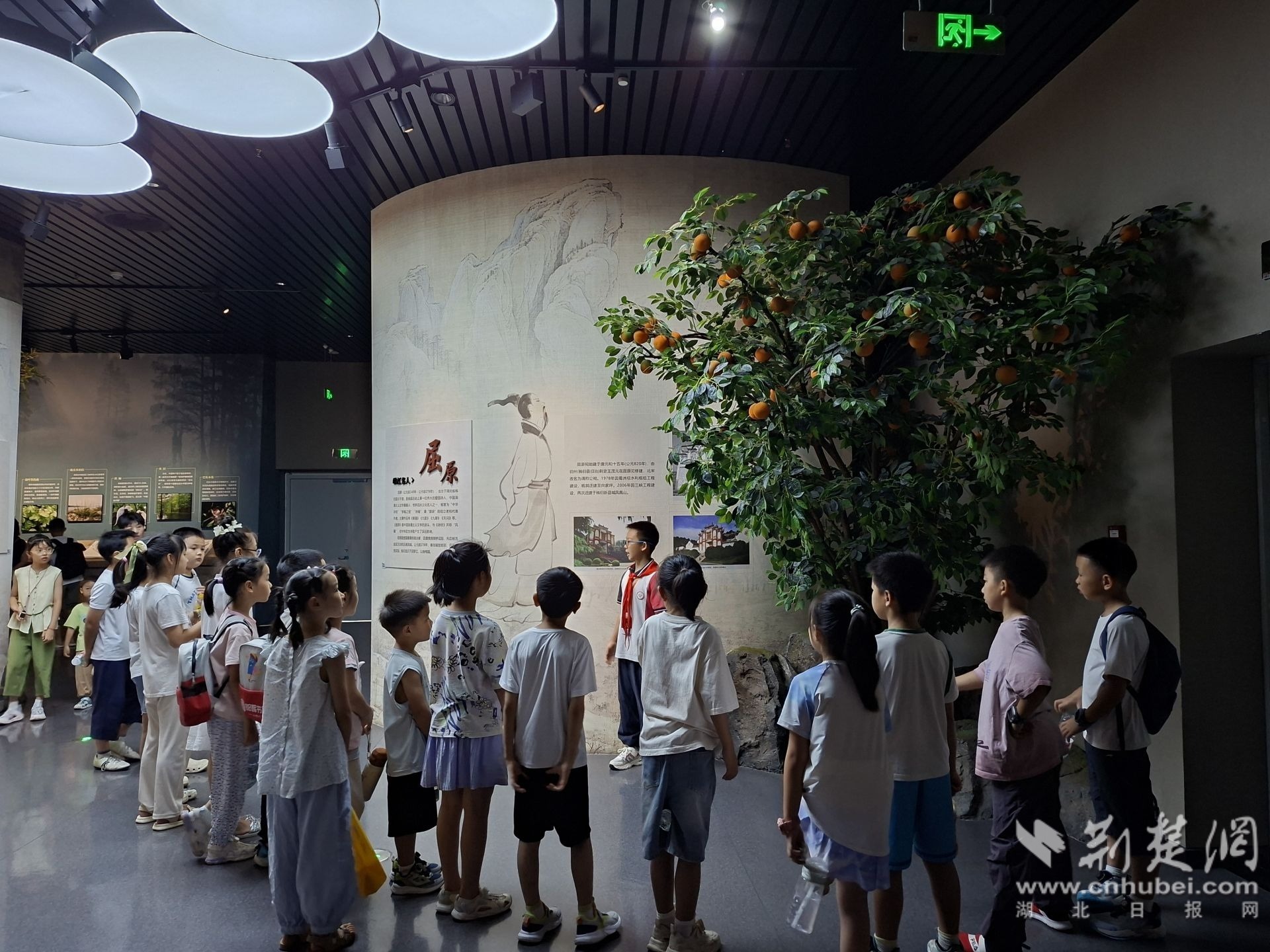 微信图片_20260731162705_118_564.jpg.jpg