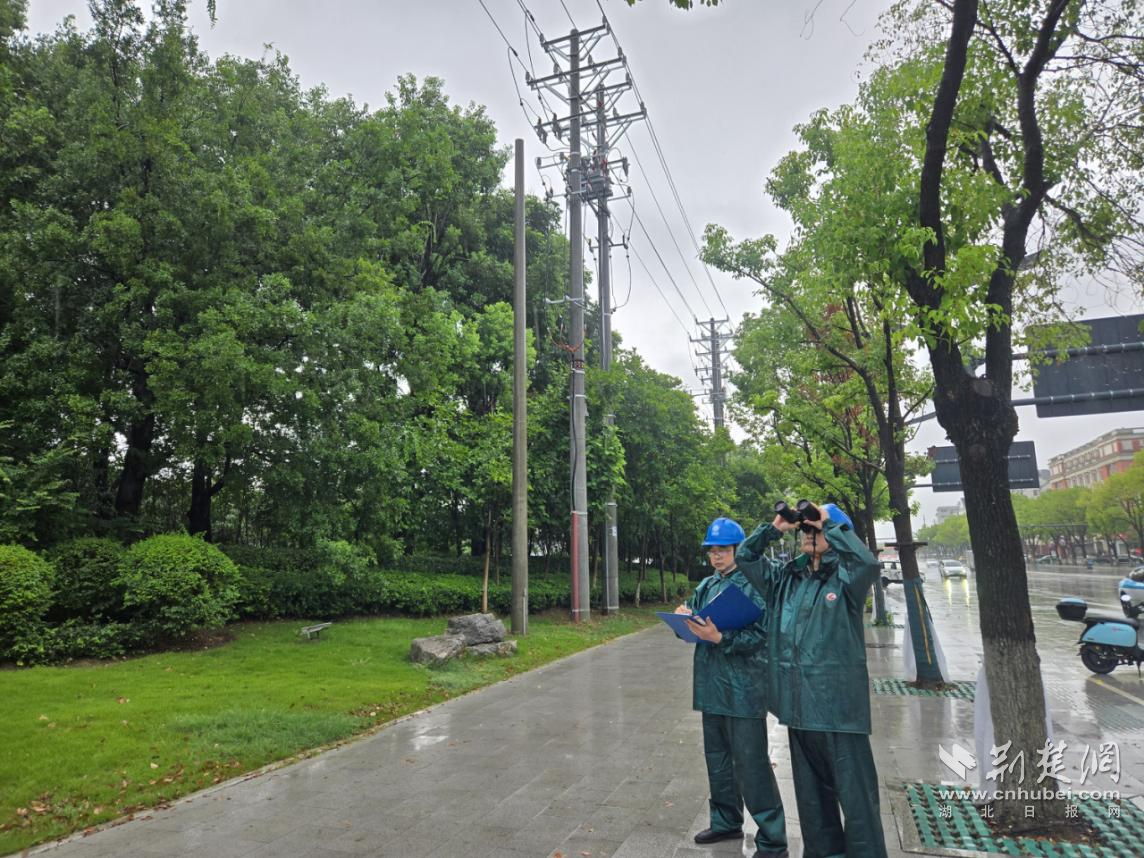 图片3.png.png