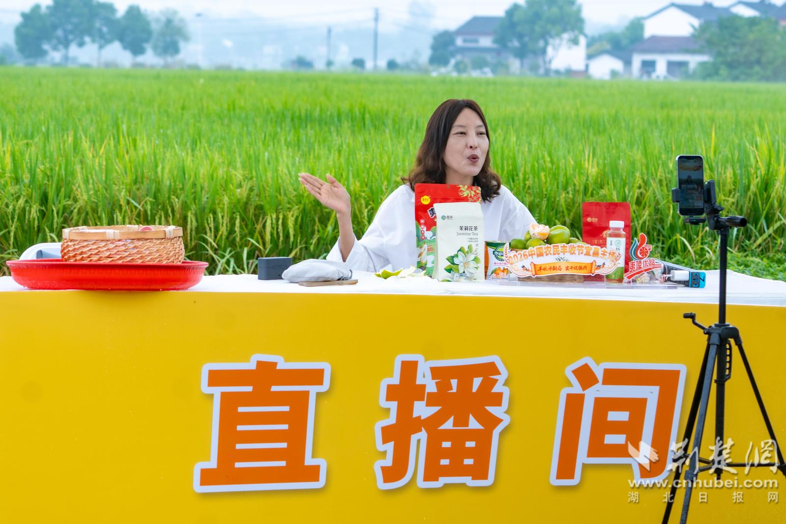 微信图片_20260923144353_18_2773.png.png