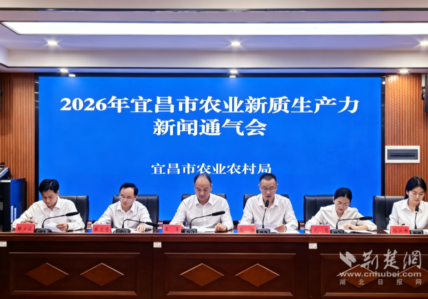 图片1.png.png