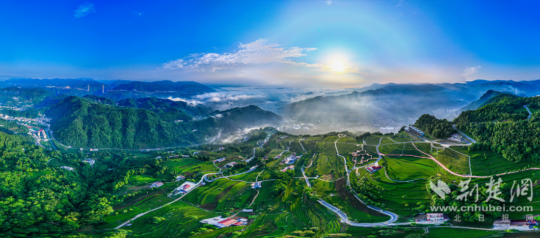 全国最美茶园青岗岭云雾氤氲,五峰新城静卧青山、隐现云海之间。(陈许腱摄)_副本.png.png