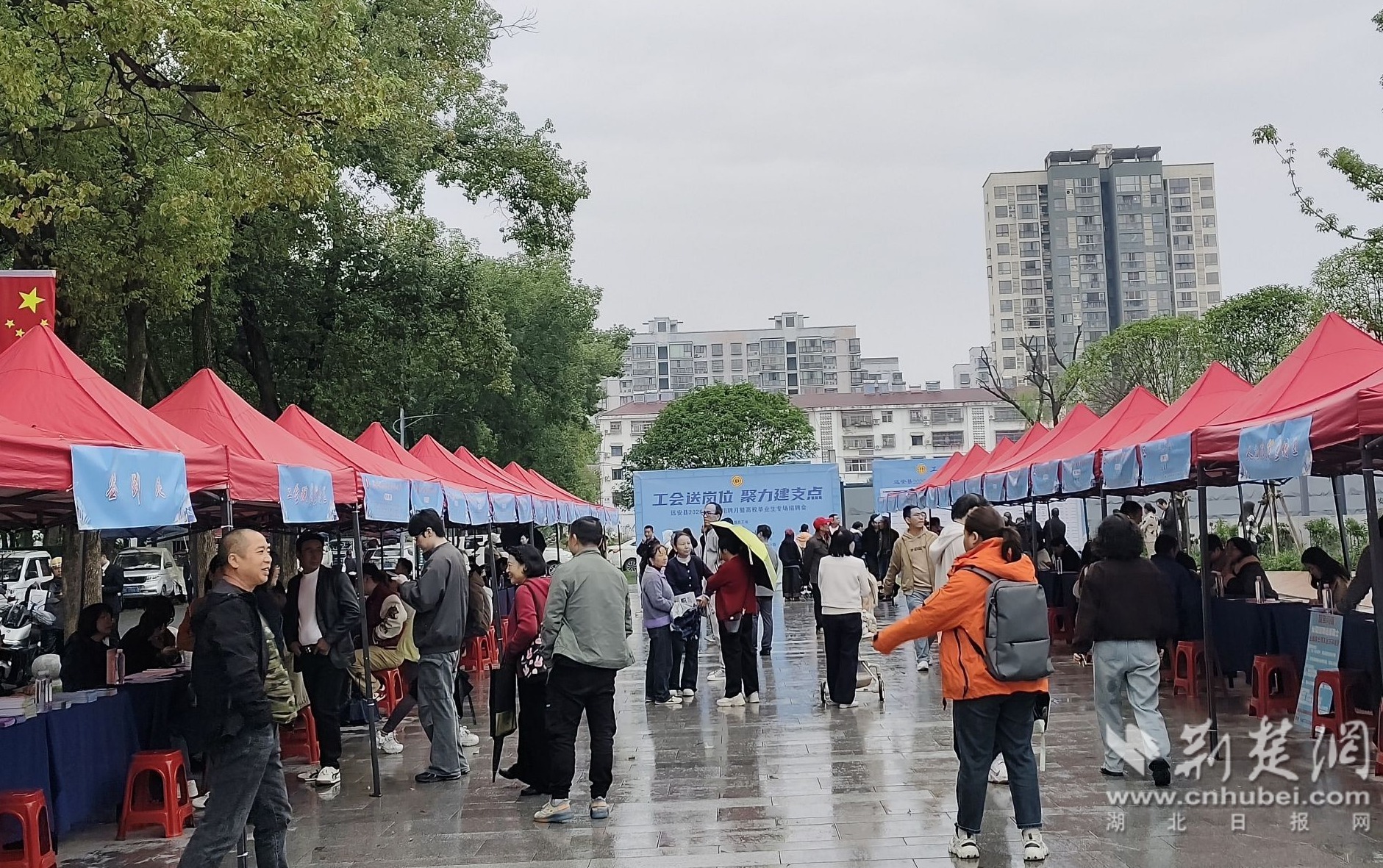 微信图片_20261028154037_85_1553.jpg.jpg