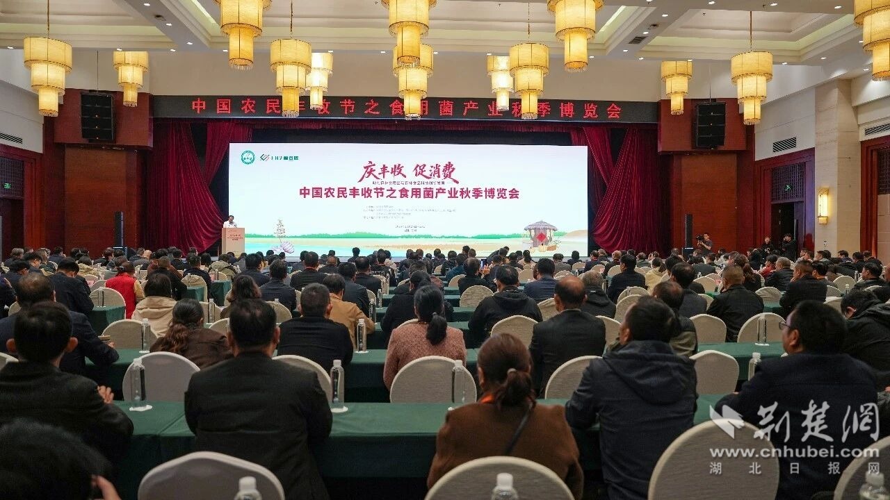 微信图片_2026-10-29_185007_407.jpg