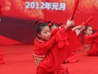 第六届宜昌西陵庙会夷陵广场拉开帷幕