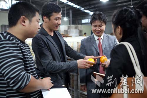 宜昌市柑橘产量将达258.8万吨 价格后期将走高