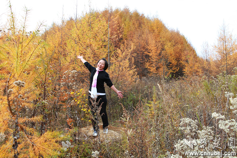 市一医院雷宏耘 - 宜昌名医 - 荆楚网宜昌站