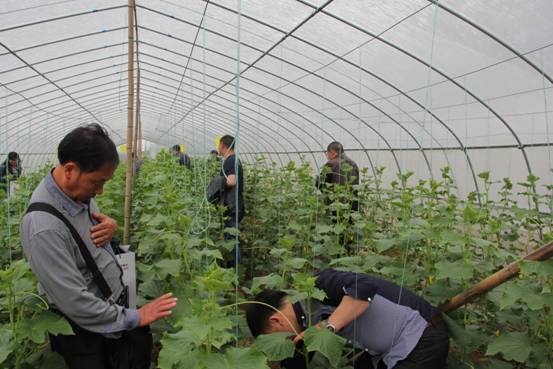 宜昌现代蔬菜种植技术与管理培训班在当阳开