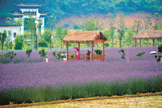 宜昌休闲农业闹热乡村旅游