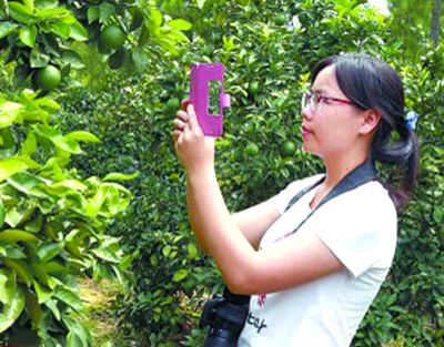 ������ý����ת�ġ���ɫ�����ϵ���־���ͣ����³�����·���¸���·��