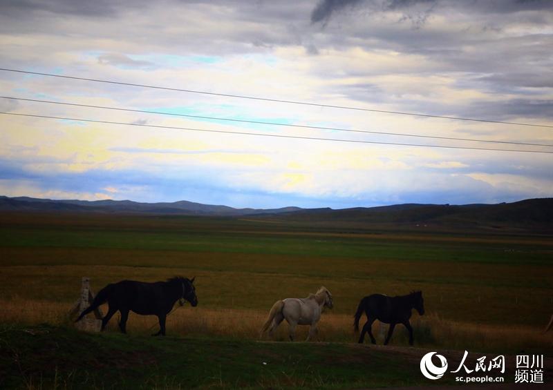 ĺɫ�µ��ո��Ǵ����󡣣���� �㣩