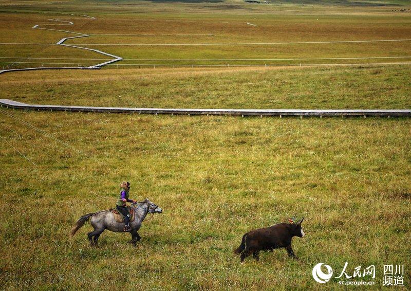 ���ĺ�ԭ���ո��Ǻ������������ַ�ѳ�Ϊ���������ξ��������ص���������ꡢ���㡣����� �㣩