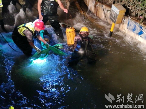 QQ图片20160719160642.jpg QQ图片20160719160642.jpg