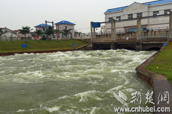 IMG_0289_副本.jpg IMG_0289_副本.jpg