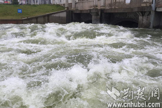 IMG_0305(1)_副本.jpg IMG_0305(1)_副本.jpg