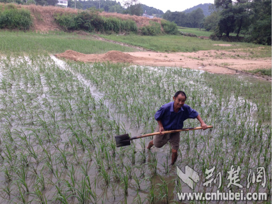 IMG_2343_meitu_1.jpg IMG_2343_meitu_1.jpg