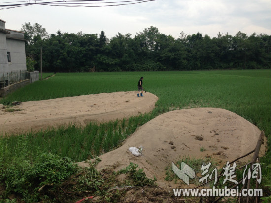 IMG_9264_meitu_3.jpg IMG_9264_meitu_3.jpg