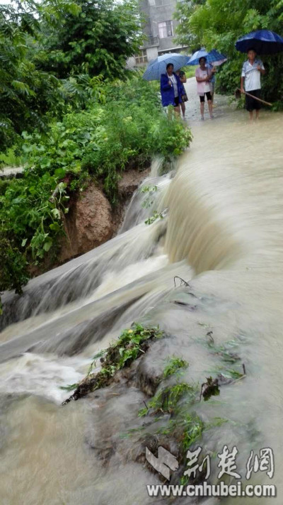 IMG_9272_meitu_4.jpg IMG_9272_meitu_4.jpg