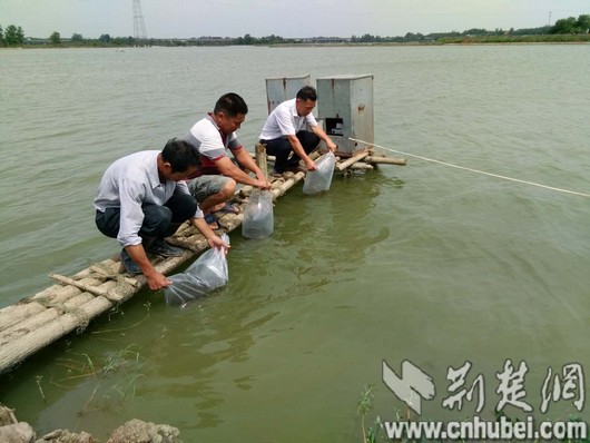 CBDE90FD69F7B4A0E06158C315DD2A60.jpg CBDE90FD69F7B4A0E06158C315DD2A60.jpg