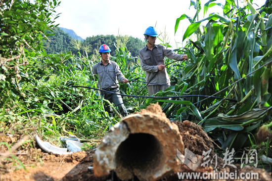 002 �͹������������ֳ�.JPG