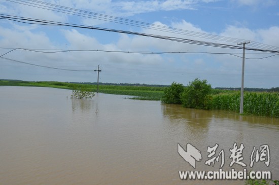 图片3.jpg 图片3.jpg