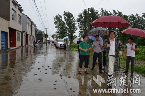 图片1.jpg 图片1.jpg