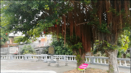 【网络媒体走转改】VR作品丨幸福侨村:重启那一抹阑珊乡愁 【网络媒体走转改】VR作品丨幸福侨村:重启那一抹阑珊乡愁