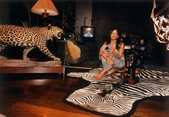 ī���������Ÿ����� ʨ��������