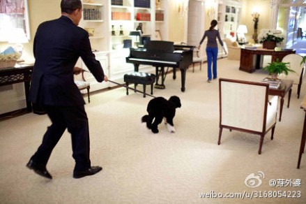 �°����׹�˽���� �ζ����ȶ�����չ����ʵ����