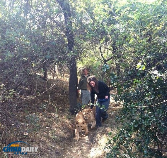 ���ô�Ů����ͼ����ʨ������˺ҧ �漣����