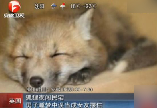 ����˯������Ѻ��굱Ů�� Ů�Ѳ����ҹɱ�������꾫��ͼ��