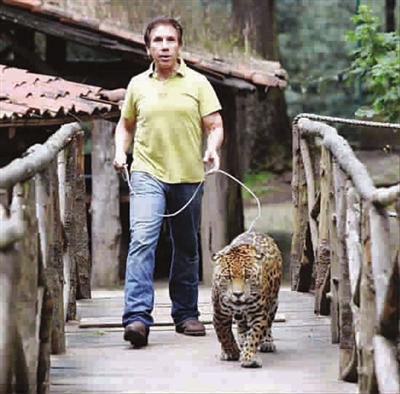 ���ӳ����Ϊ���ﱪ������լ����Ӱ���루ͼ��