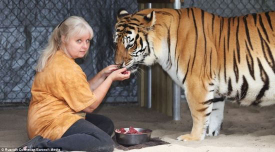 Ů�����ԼҺ�Ժ��2ֻ�ϻ� �Գơ����衱(��ͼ)