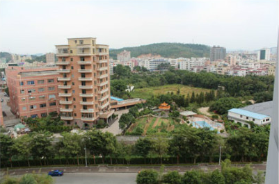 网曝深圳一社区主任有房80栋豪车20部 坐拥20亿资产