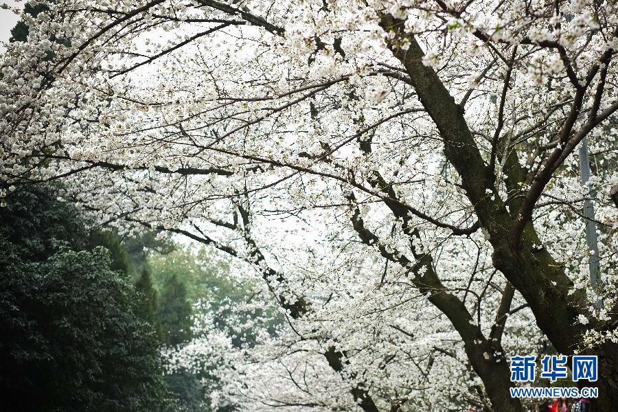 ���»�������3�����췱ӣ��