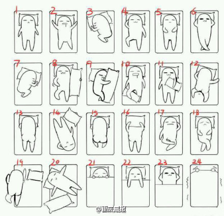 网上流传的24睡姿图