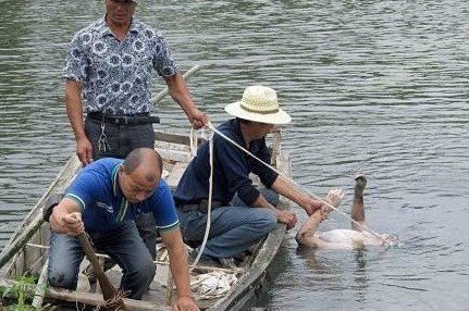 �㽭���������������� ��ʬ�߿���6000Ԫ/��