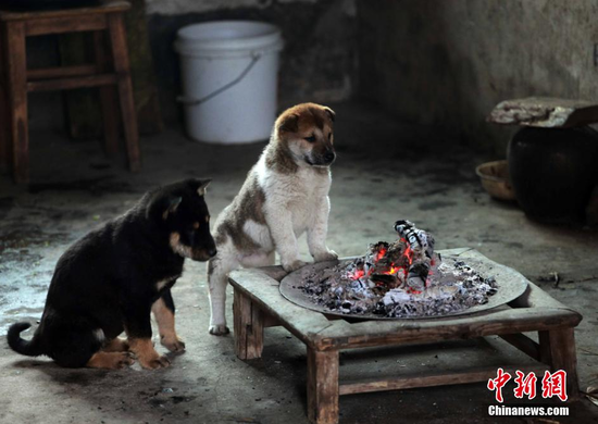 ����С��������Χ¯ȡů ��������(ͼ)