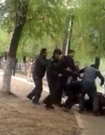 ����Ź���ֳ���Ƭ