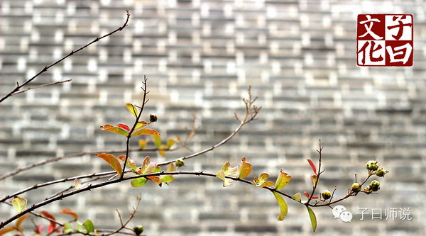 ��ѧ�����������ļ�ֵ�ۡ�������