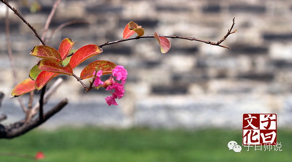 ��ѧ�����������ļ�ֵ�ۡ�������