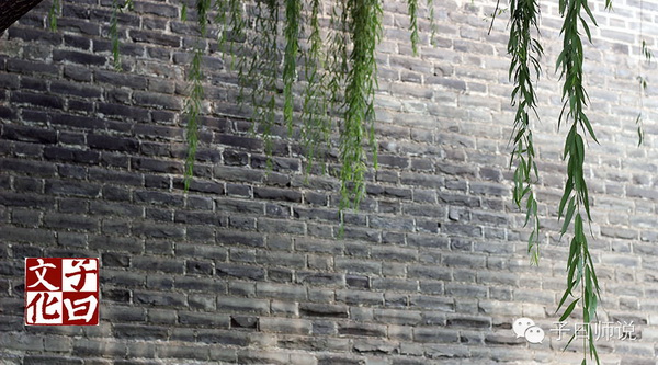 ��ѧ�����������ļ�ֵ�ۡ�������