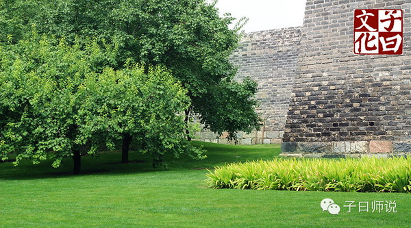 ��ѧ�����������ļ�ֵ�ۡ�������