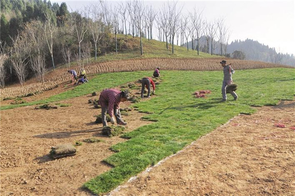 ����ֲ��̺ �����·羰