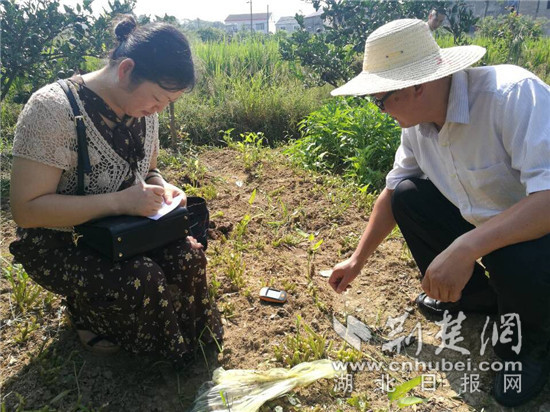 宜昌市农业局部署环保重点工作迎接中央督察