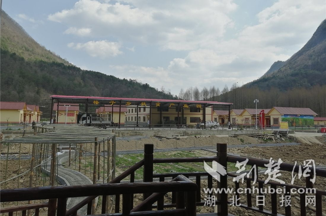 兴山县榛子乡不负春光抢农时